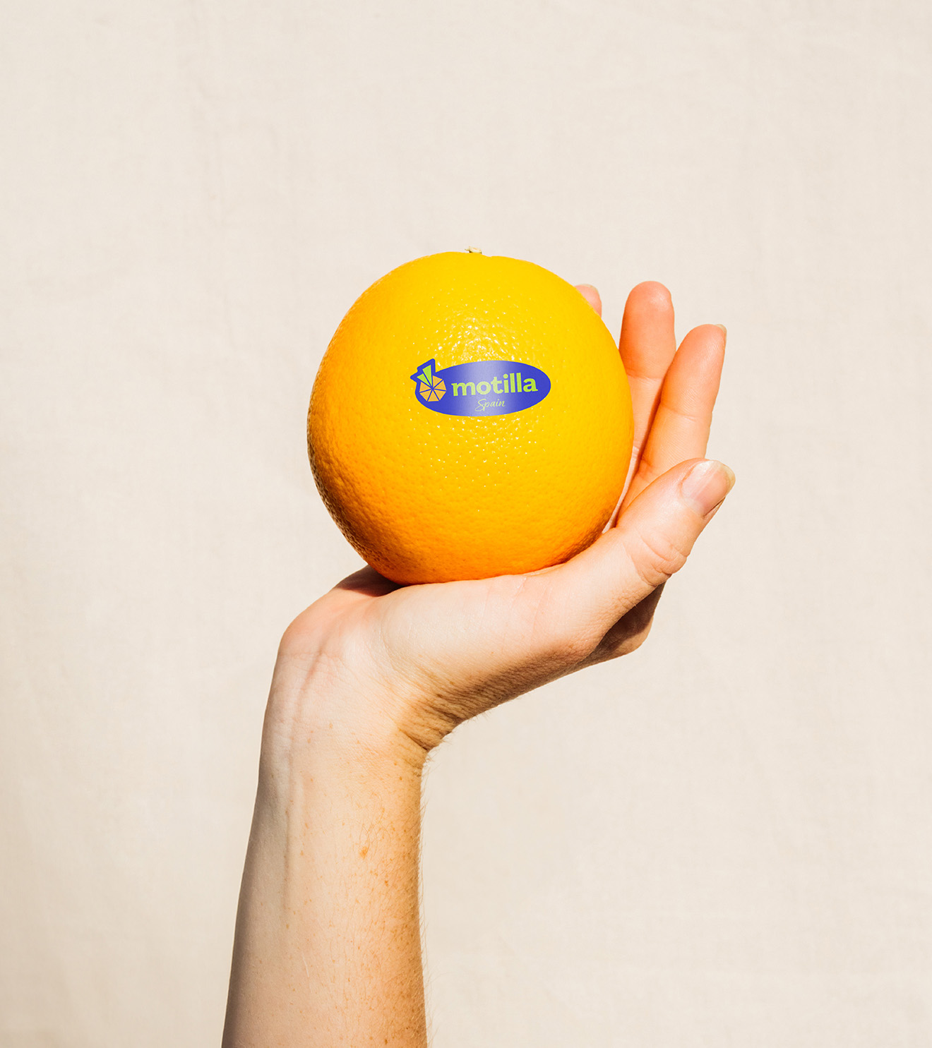 Vista del producto seleccionado